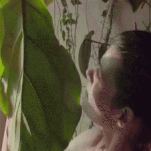 女模特业余爱好是种花养虫？500盆花草惊艳扮靓120平闺房