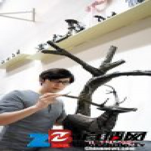 2016年中华文化人物提名嘉宾刘通：折纸世界里的顽童