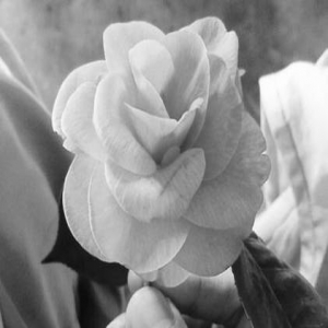 暖心爱豆！林峯发文悼念粉丝：谢谢你 我会继续努力