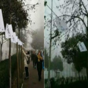 白纸黑字求爱信挂满校园 网友：分明是来索命的