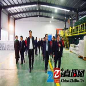 岳阳市君山区区长李勇一行考察岳阳东方雨虹