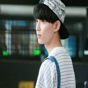 专家谈小鲜肉：应该依存于内在故事逻辑