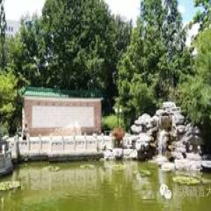 票选｜这次，我想请你看看北语实现的“小目标”！