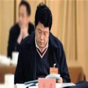 国安部原党委委员、副部长马建严重违纪被开除党籍