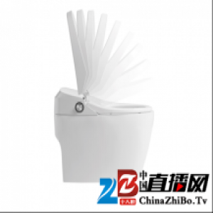 恒洁智能双Q马桶：送给自己的年终奖