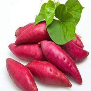 双语：你可能还不知道它是超有营养的食物