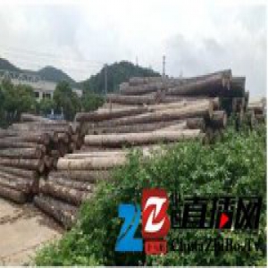 丰成帝纳的“镇木之王”