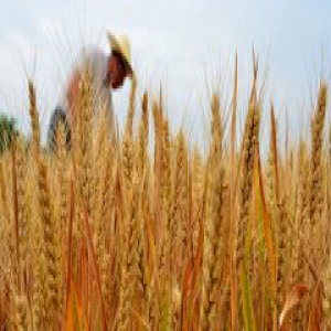 让农业更强农民更富农村更美