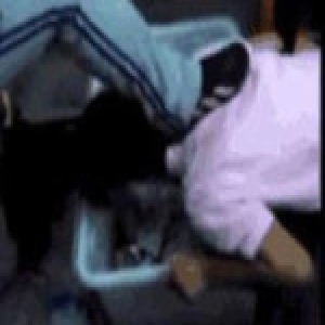 职专女生宿舍内被扇耳光 警方行政拘留打人者