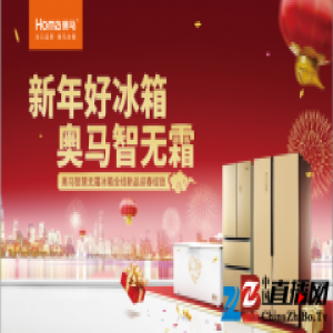 奥马无霜大冰箱，存储年货好帮手