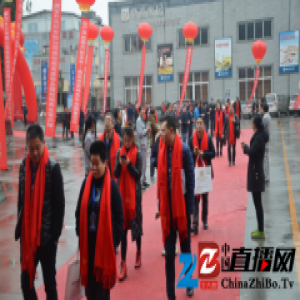 新产品 新模式 新未来 鼎高家居2016商务年会暨新品发布会