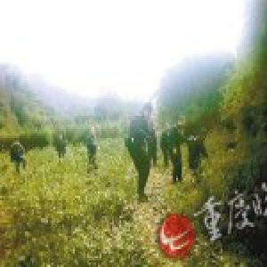 200斤野猪下山扰民 被特警一枪击毙(图)