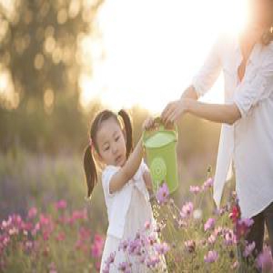 国际学校学生必看：美国SAT分数最高大学排名