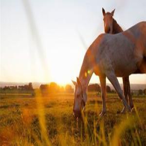 二十一个老外最常用英语习语 你都学会了吗