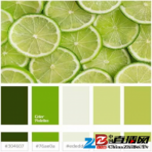 全球权威色彩研究机构最新发布2017年流行色彩，与必美苏州设计沙龙相互呼应！