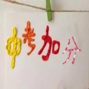 2017最新中考加分政策，您家符合条件吗？