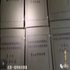 中纪委的新片隐藏权力运行的秘密