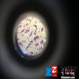 传统建盏制作柴烧回归迎“新春”