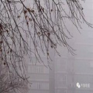 重霾下的山东父母：不等了！卖房子准备出国