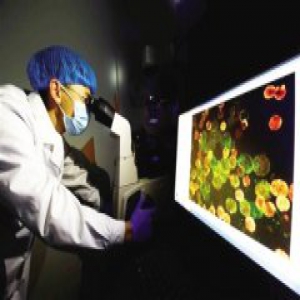 寨卡病毒诊断试剂研制成功 分发各省份与重要口岸