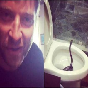 吓哭！美歌手睡醒如厕 马桶中竟惊现猛蛇(图)