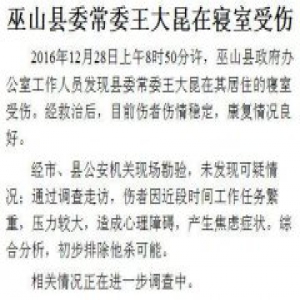 重庆巫山县委常委在寝室受伤 因工作压力大焦虑