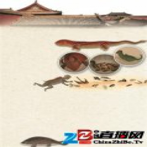 清代《海错图》不靠谱？科普达人破解30个谜题