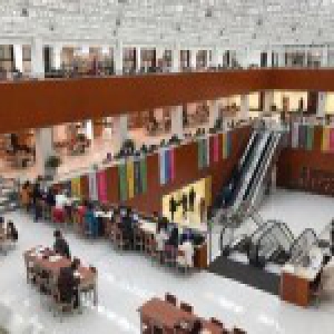 11岁女孩失踪12天被找到 白天图书馆看书晚上睡楼道