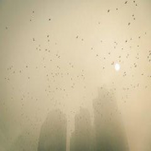 北京卫计委：重污染天最好采用蒸煮方式烹饪