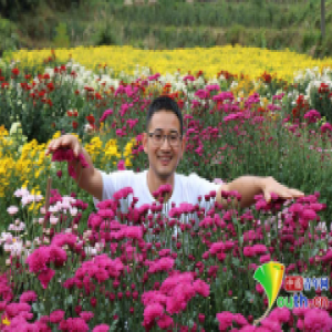 “中国@2016青春＃2017”系列报道④：社会中国之惠：青春躬行者的担当