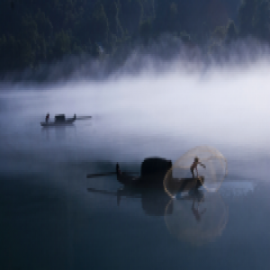 楠木世家：有它就有诗意生活