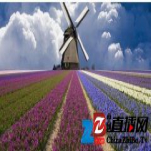 挑起你的盖头来，瞧一瞧安迪地板新款健康产品