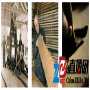 必美施兰祖，来自可持续发展森林中的奥地利实木复合地板