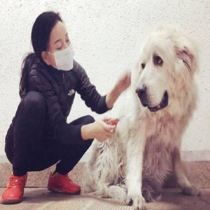 刘晓庆为狗狗梳毛拣刺 眼神温柔超有爱(图)