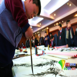 国内首个艺术家“文化助残”专项基金在京启动