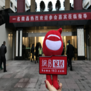 一名微晶，开创建筑装饰材料“绿色经济”发展之路