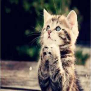 别人想清新脱俗 你却只想清新脱污