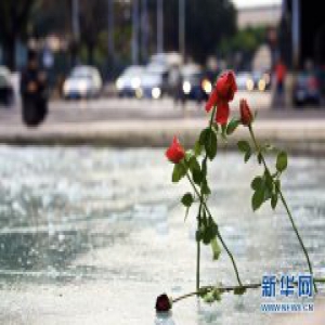 意大利再遇寒潮侵袭 已导致至少8人死亡（组图）