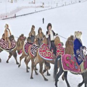 中外游客激情感受“冰雪奇缘”