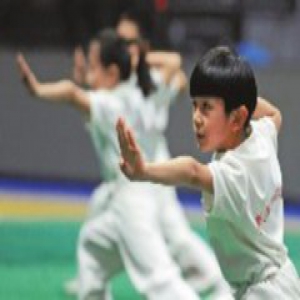 乌鲁木齐市“民族团结杯”武术比赛举行