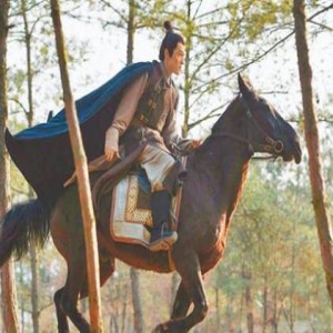 明星坠马频发：胡歌摔伤椎间盘 林志玲疑因此分手