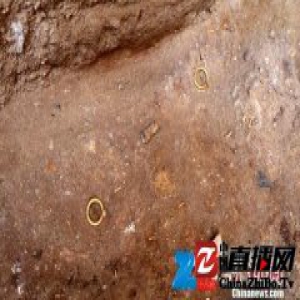 中乌联合考古在撒扎干遗址大型墓葬发现金器80件