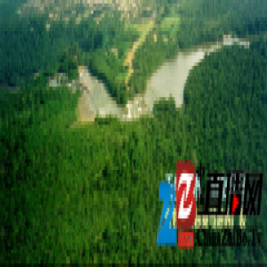 安全信赖的好地板是如何炼成的？