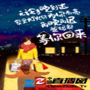 回家路上，我在高铁遇见你