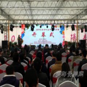 贵阳首届春节花市开幕 15万平方米花卉基地免费向市民开放