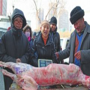 库尔勒市投放春节储备肉、蔬菜