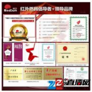 红日红外线灶入选国家《十三五全民节能行动计划》