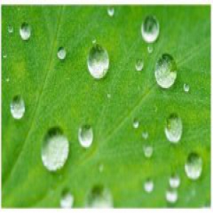 瑞士SCHMIDLIN的创举：洗完澡不用清洁的浴缸！