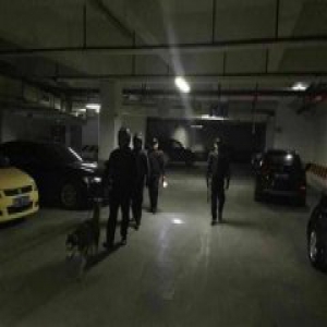 成都一小区保安携犬巡逻 哈士奇开道引业主爆笑