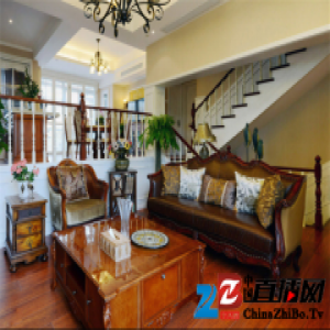 大卫地板圆盘豆 家居界的非洲硬汉